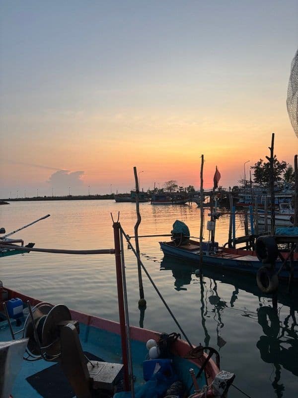 Boats moored at a marina at sunset
